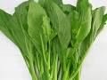 Cải ngọt Baby VG 300 gr